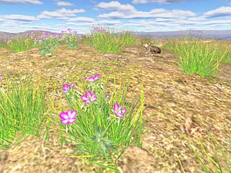 Screenshot of Hare with flowers