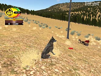 Screenshot of Wolf watching coyote eating elk