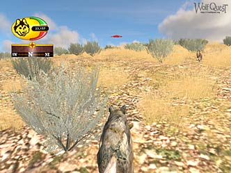 Screenshot of Wolf chasing coyote